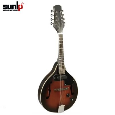 מנדולינה חשמלית